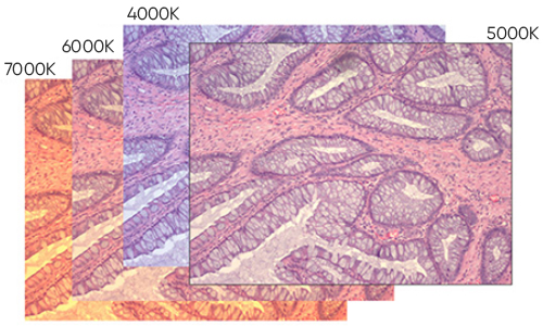 高質(zhì)量彩色圖像
