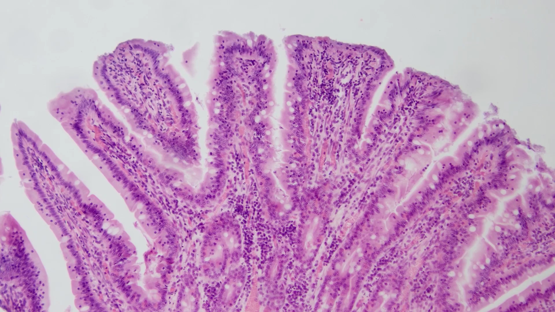 真實(shí)色彩還原算法